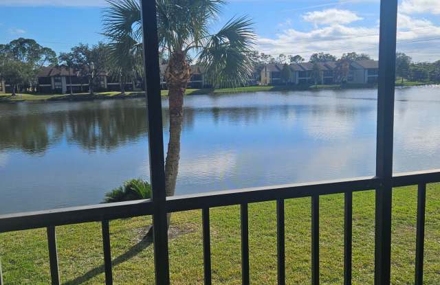 224 Cypress Lane, #224, Oldsmar, FL 34677 - 224 Cypress Lane, East Lake, FL 34677