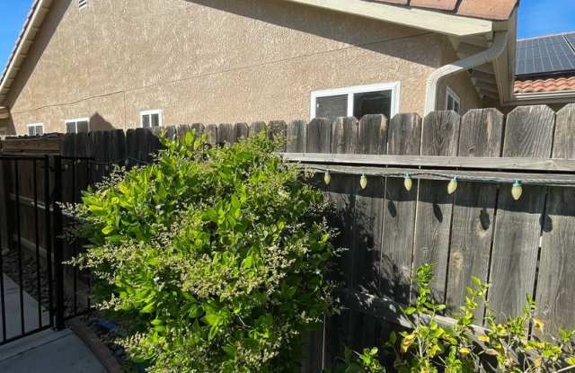 Luxury 3 Bed / 2 Bath Home with Pool and Solar Panels – Available 4/1/2026 photos photos