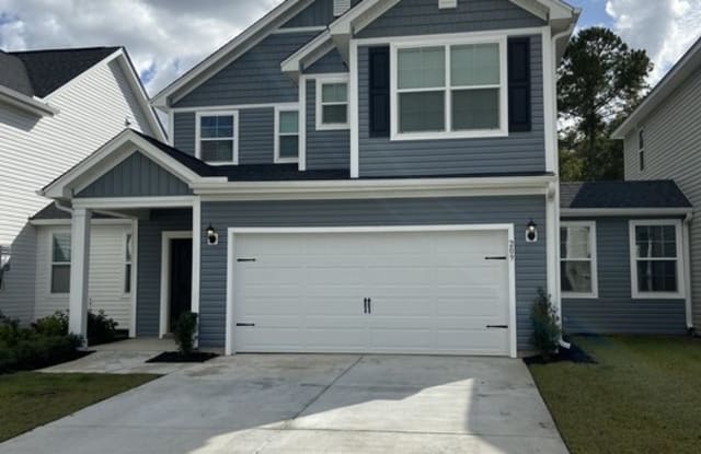 209 McClellan Way - 209 McClellan Way, Dorchester County, SC 29483