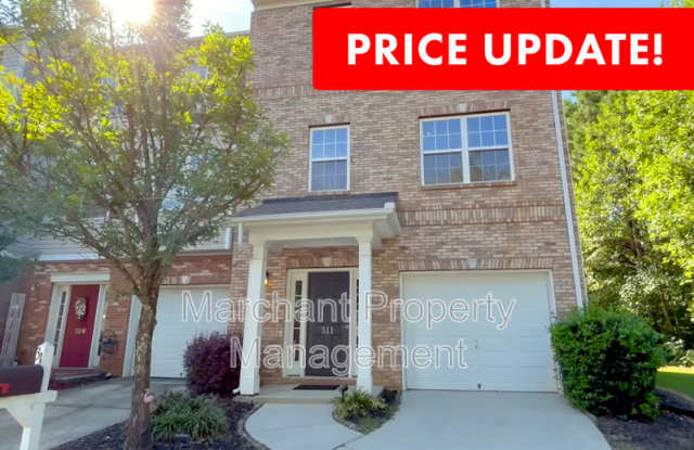 311 Pampas Court - 311 Pampas Court, Mauldin, SC 29607