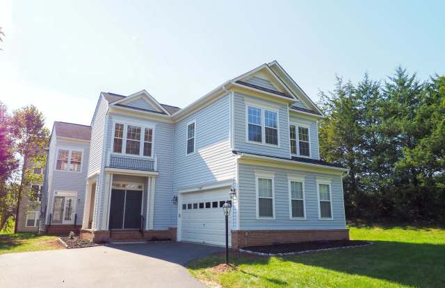 21817 WINGFOOT COURT - 21817 Wingfoot Court, Broadlands, VA 20148