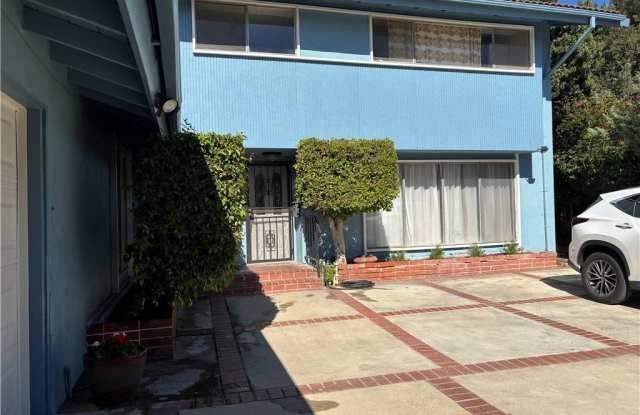 13645 Camilla photos photos 13645 Camilla photos photos