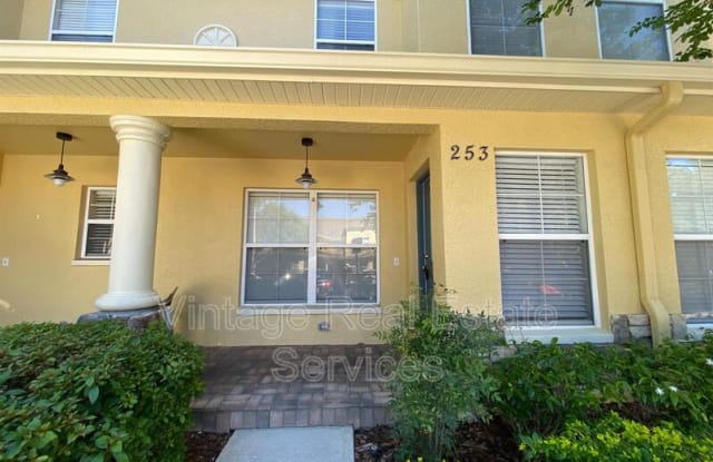 253 Castlekeeper Place - 253 Castlekeeper Place, Valrico, FL 33594