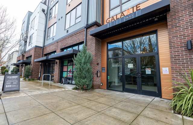 Galaxie at Sellwood Gallery 3