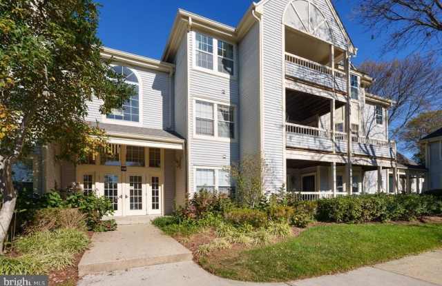 110 LOWELL COURT Gallery 2