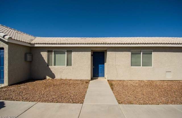 2021 S Dandelion Street Gallery 4