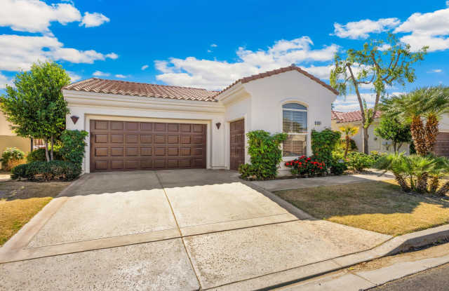 79325 Toronja photos photos