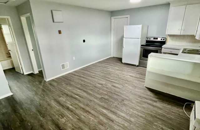 NICE Ground Floor 1BR/1BA Zephyrhills Duplex Apt. NO APP FEE! photos photos