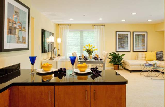 Spa Cove Gallery 2