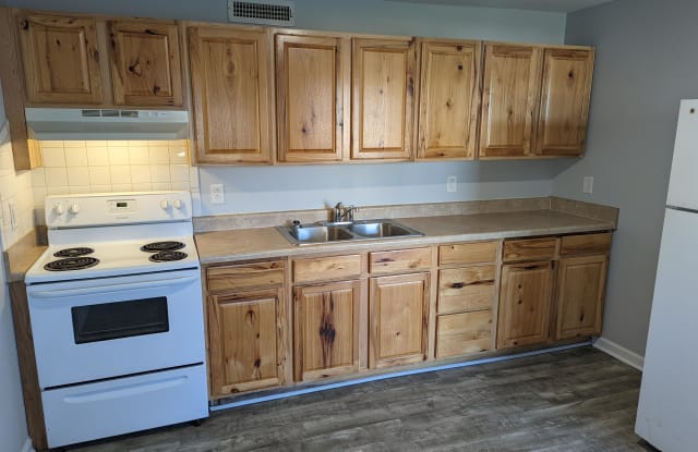 204 Hamilton Street - 2 - 204 Hamilton Street, Johnson City, TN 37604