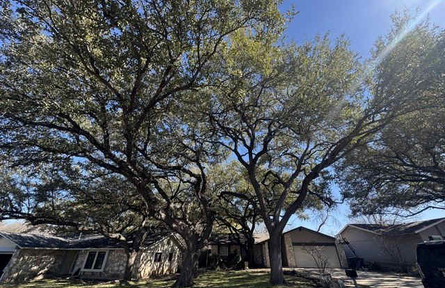 4046 Briarcrest - 4046 Briarcrest Street, San Antonio, TX 78247