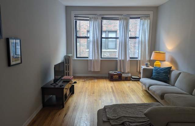 5517 S. Everett Avenue #17-3W - 5517 South Everett Avenue, Chicago, IL 60637