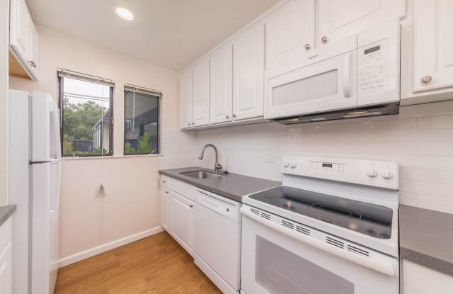Camelback East Gallery 2