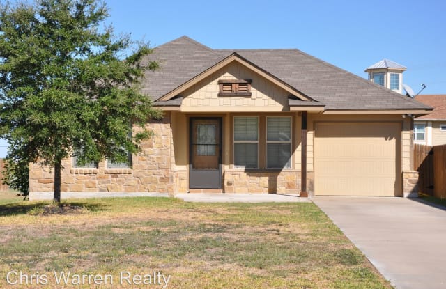 212 Azurite Drive - 212 Azurite Drive, Williamson County, TX 76537