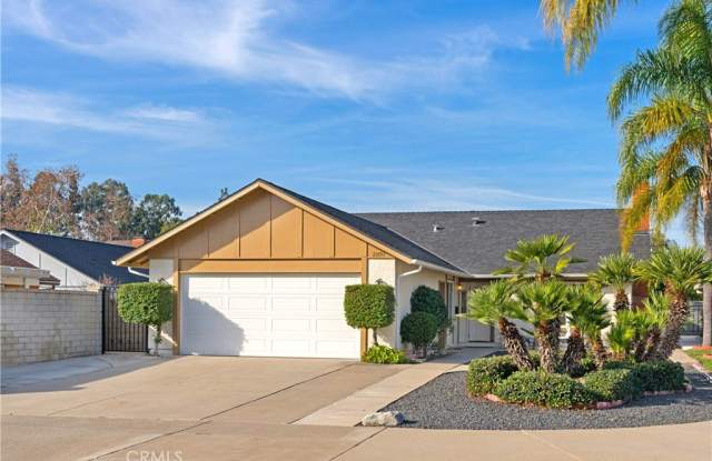 23551 Venisia photos photos