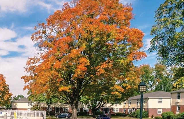 Aberdeen Communities photos photos