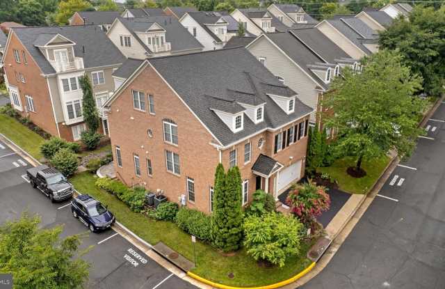 8880 OLIVE MAE Circle Gallery 2