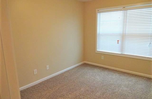3843 Plymouth Rock Drive Gallery 2