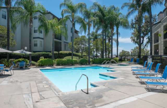 Centre Club Apartments Gallery 4
