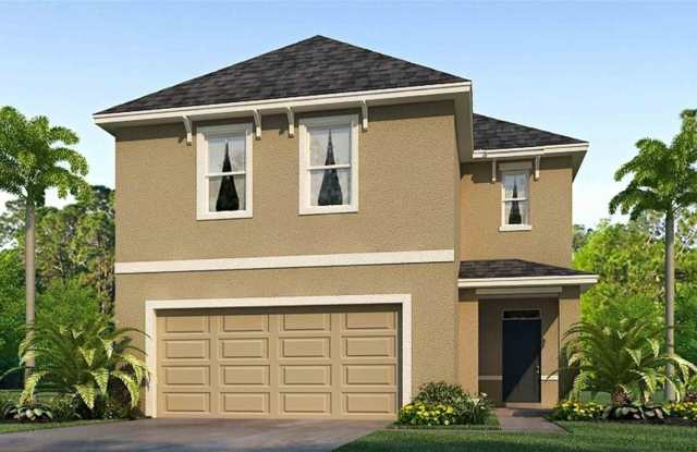 33300 REGENT CANAL STREET - 33300 Regent Canal Street, Pasco County, FL 33543