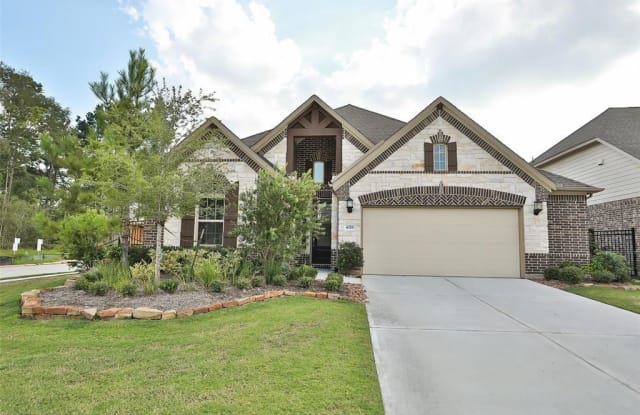 4328 Silver Oak Place - 4328 Silver Oak Pl, Montgomery County, TX 77386
