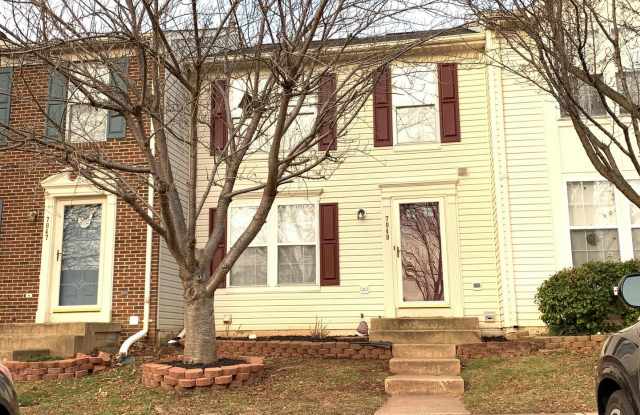 7049 ROGUE FOREST LN - 7049 Rogue Forest Lane, Gainesville, VA 20155