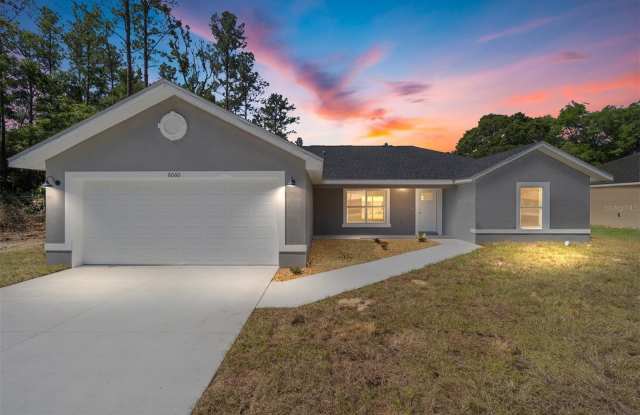 6060 NW 53RD STREET RD - 6060 Northwest 53rd Street Road, Marion County, FL 34482