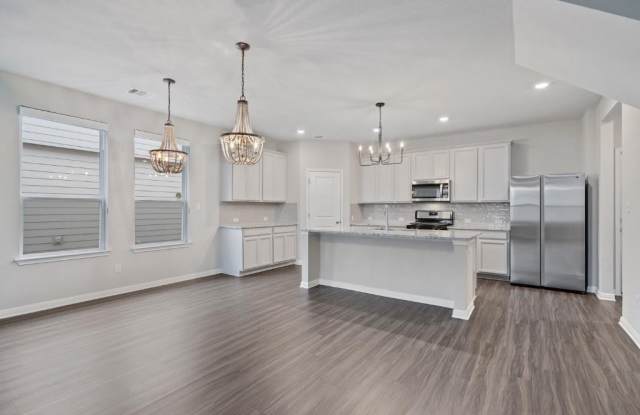194  Delaware Mountains TER - 194 Delaware Mountains Terrace, Hays County, TX 78620