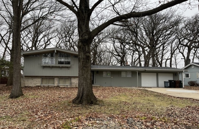20616 Attica Road - 20616 Attica Road, Olympia Fields, IL 60461