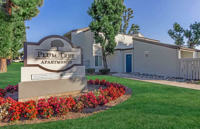 Plum Tree photos photos Plum Tree photos photos