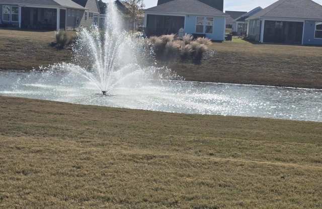 214 Garden Gate Way - 214 Garden Gate Way, Berkeley County, SC 29486