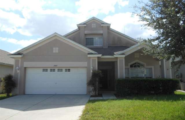 13005 TERRACE SPRINGS DRIVE photos photos