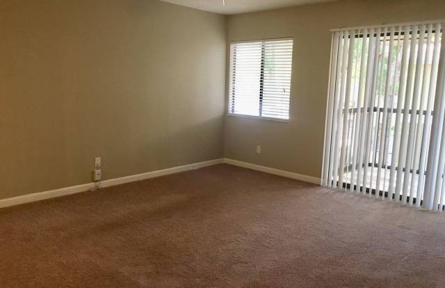 13288 Arbor Pointe Cir. Gallery 3