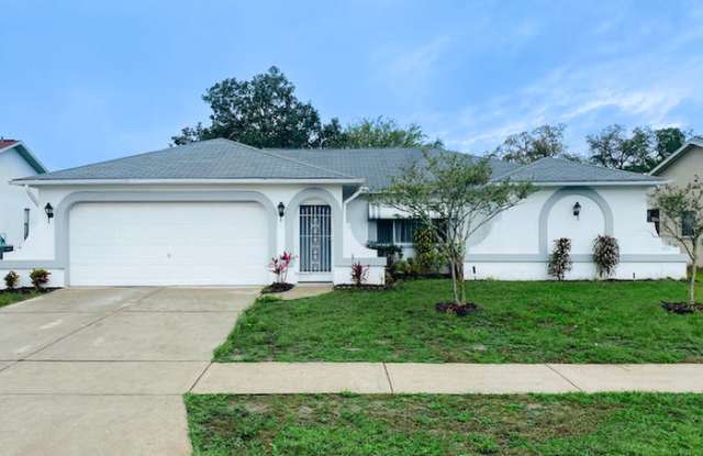 18805 Green Park Road - 18805 Green Park Road, Pasco County, FL 34667