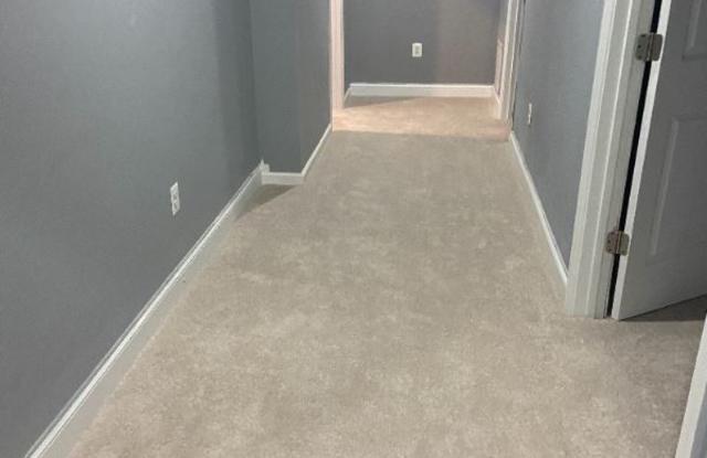 2176 Port Potomac Ave Basement Gallery 4