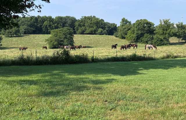 Comfortable Living Near City Conveniences: Charming 3BR Home on S Rustic Rd Gallery 3
