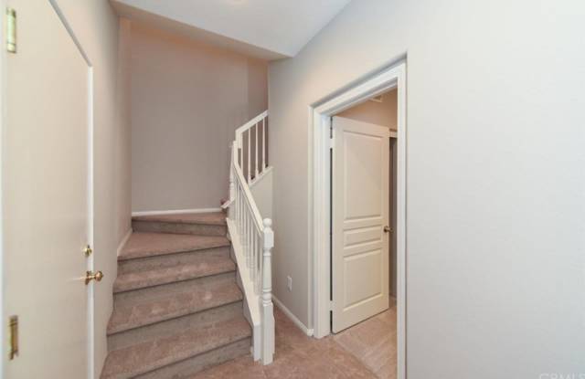 192 Wild Lilac Gallery 4