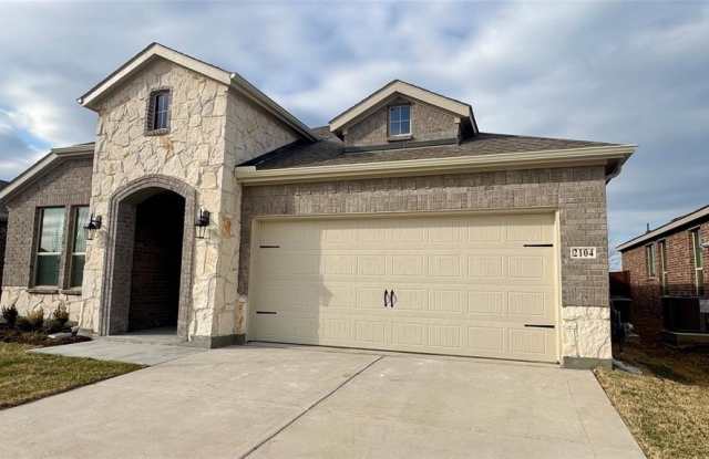 2104 Foggy Woods photos photos