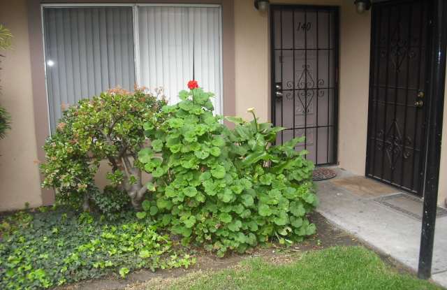 Wonderful 1 bedroom ground floor condo photos photos