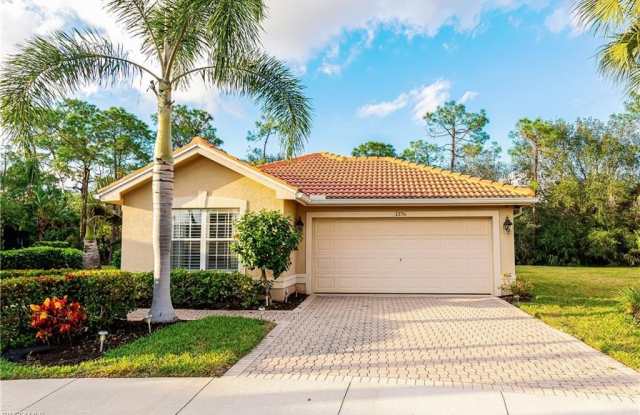 1376 Areca Cv Gallery 2