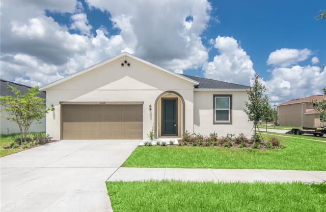 10628 MASSIMO DRIVE - 10628 Massimo Drive, Balm, FL 33598