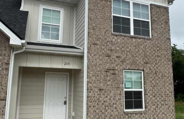 Brand new 3 bed 2 bath townhome in Smyrna photos photos Brand new 3 bed 2 bath townhome in Smyrna photos photos