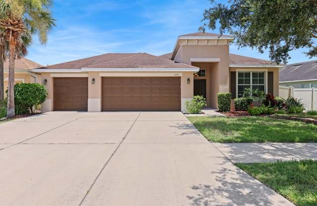 11137 WEMBLEY LANDING DRIVE - 11137 Wembley Landing Drive, Fish Hawk, FL 33547