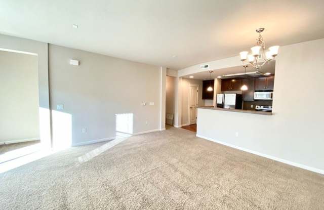 3820 Summerlinn Drive Gallery 3