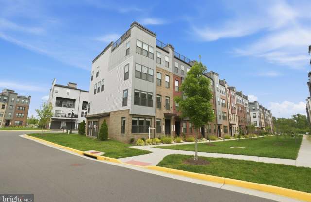 44481 WOLFHOUND Square Gallery 2