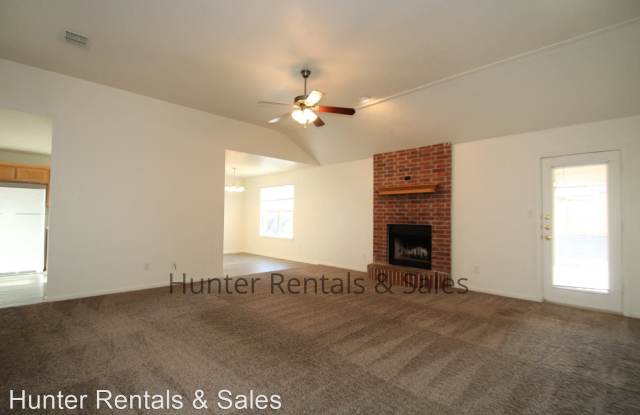 2904 Bachelor Button Gallery 4