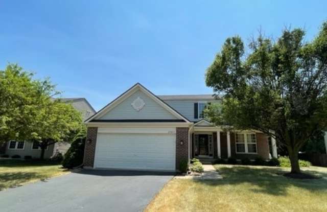 25017 ARMSTRONG Lane - 25017 Armstrong Lane, Plainfield, IL 60585