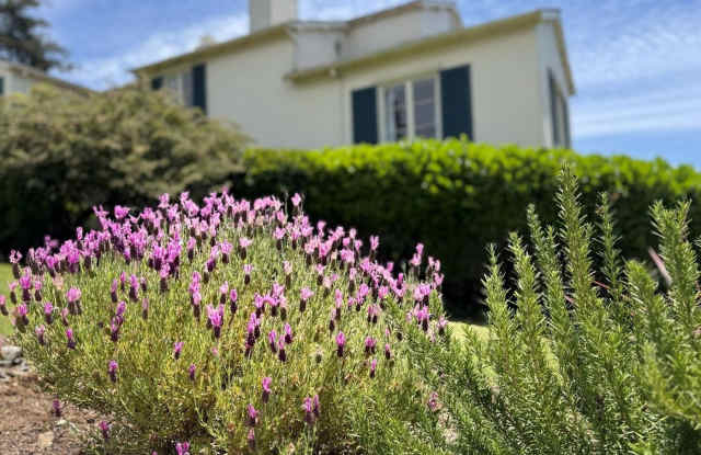 Some Homes Simply Have Character. 1759 Spruce Street Has A Story. Gallery 3
