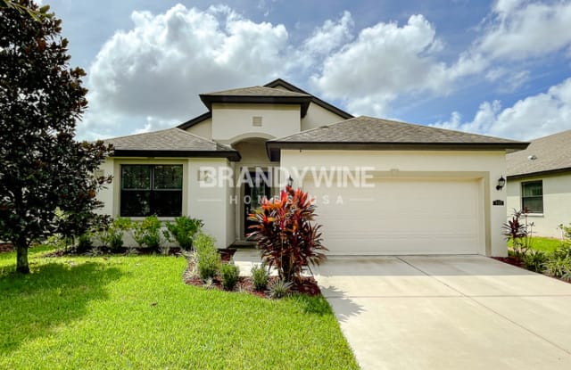 833 Vino Verde Circle - 833 Vino Verde Circle, Brandon, FL 33511