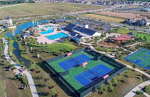 8512 Murray Grey photos photos